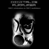 Digitalis Purpurea : 19 Celebration In 19 Mutilations